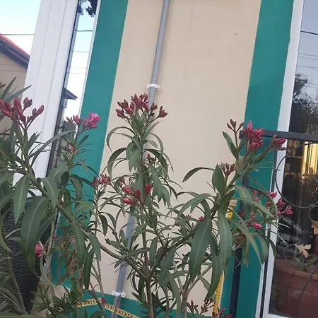 House 1 בית הארחה 2*