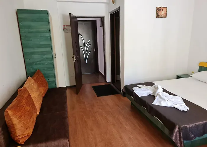 House 1 ゲストハウス